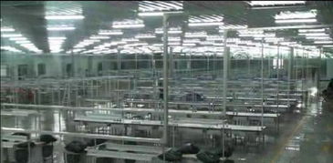 中银绒业500万件羊绒衫项目首车间6月12日投产，针织一厂产能释放提振行业信心