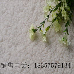 绍兴柯桥棉花绒单面拉毛针纺织品 技术特点与产业展望